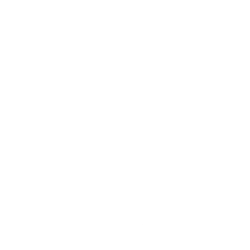 Monthly Health Checks & Optimisation featured image icon